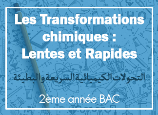 LEs-transformations-lentes-et-rapides